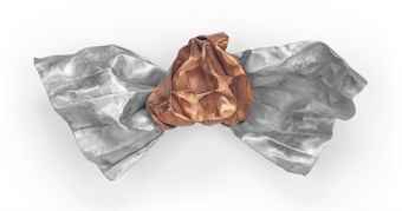 Anandi by Lynda Benglis
