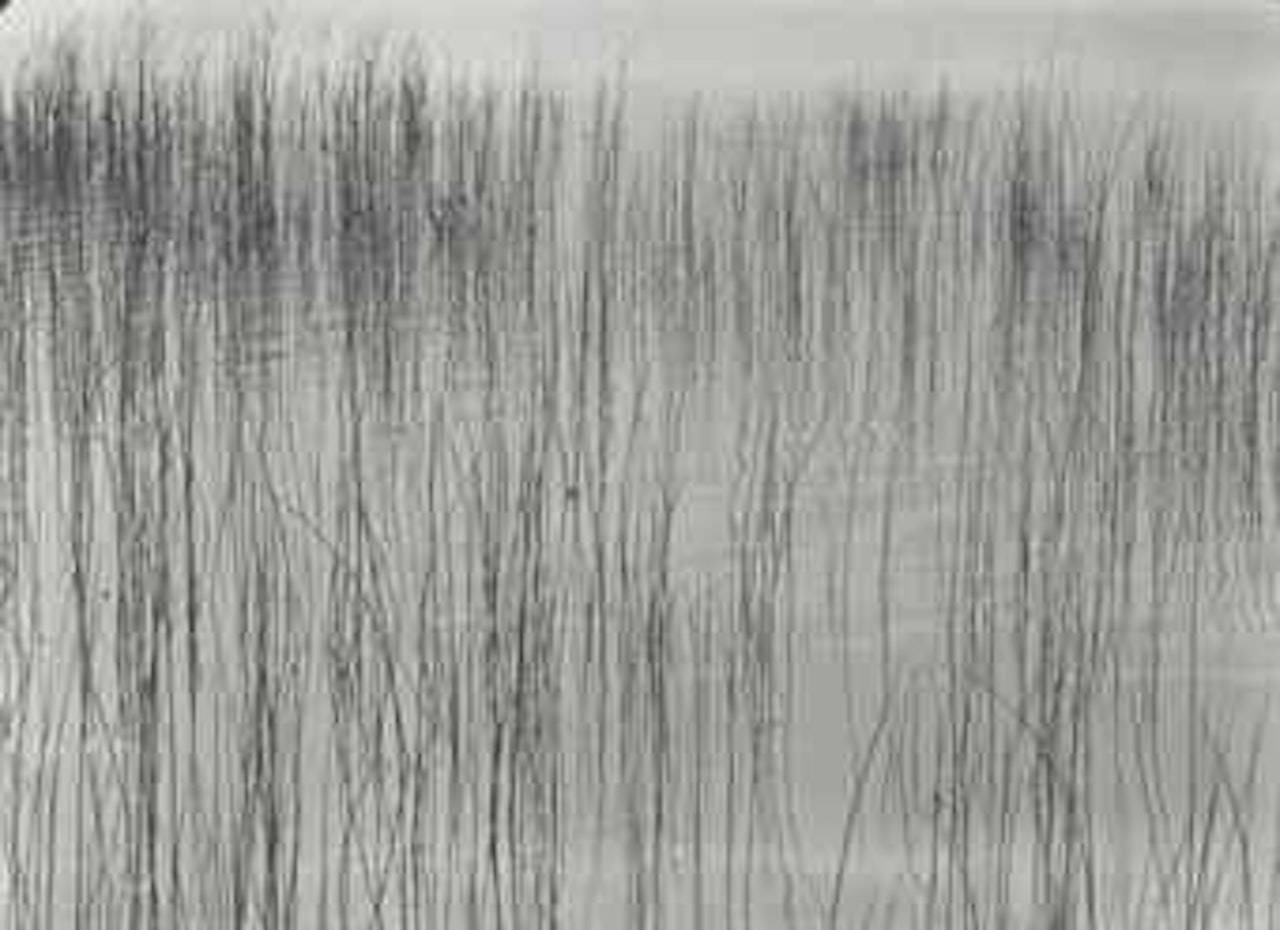 Detroit, 1941 by Harry Callahan