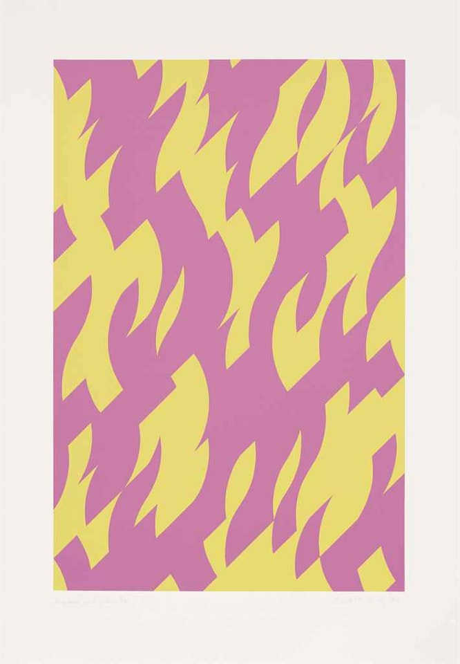 Magenta and Yellow by Bridget Riley