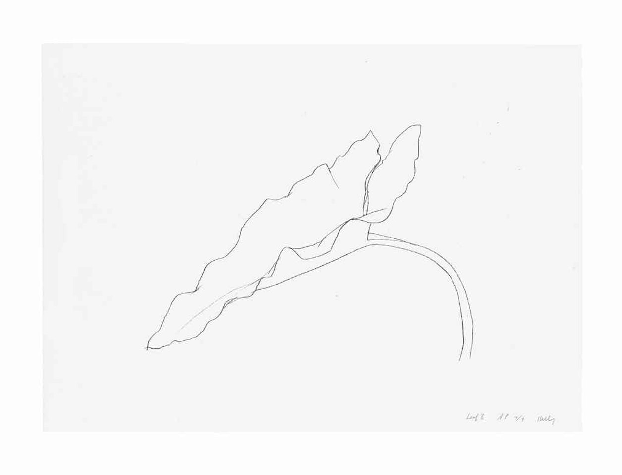 Leaf X, from Twelve Leaves by Ellsworth Kelly