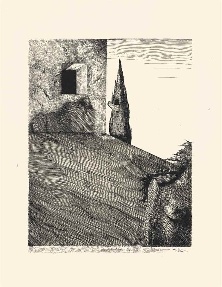 Le Revolver à cheveux blancs by Salvador Dali