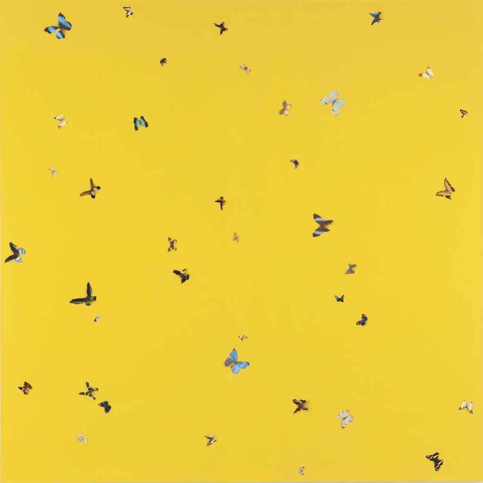 Do You Know What I Like About You? by Damien Hirst