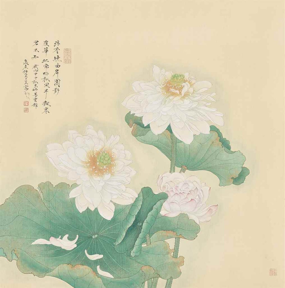 Lotus by Ren Zhong