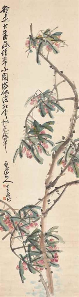 Begonia by Wang Zhen