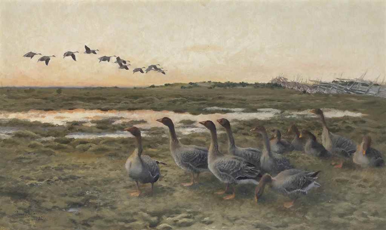 Bean Geese in a marshy Landscape by Bruno Liljefors