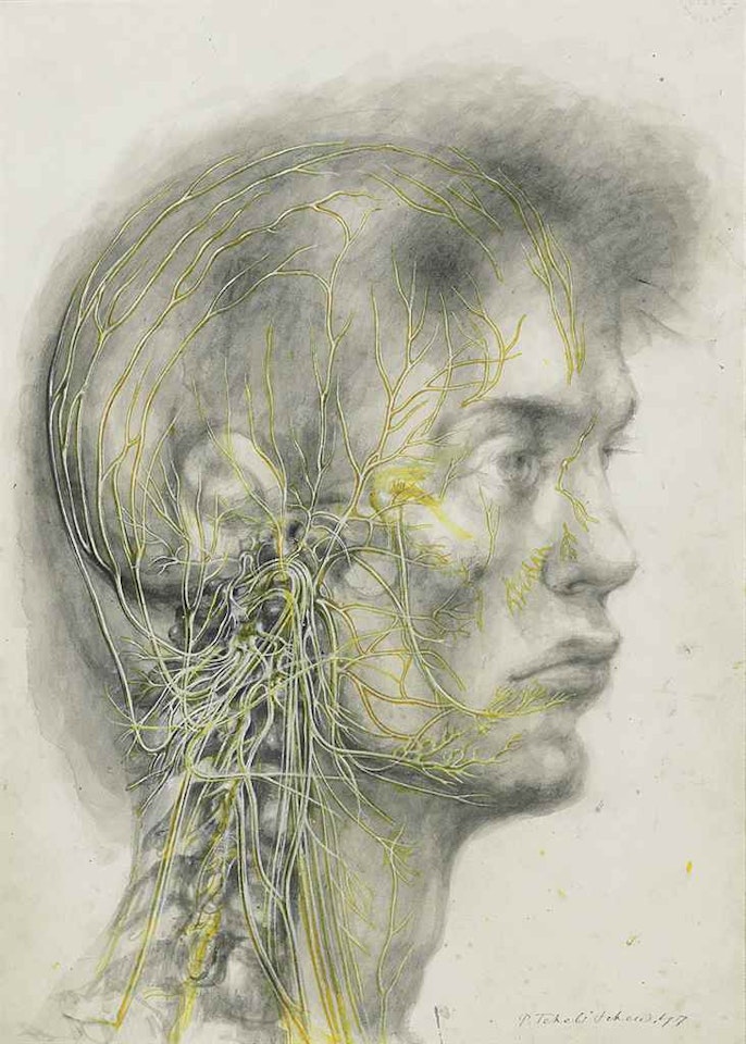 Anatomical Head with Yellow by Pavel Tchelitchew