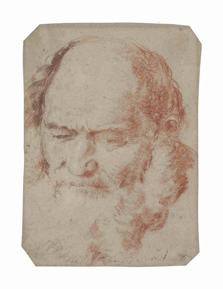 Head of an old bearded man by Giovanni Battista Tiepolo