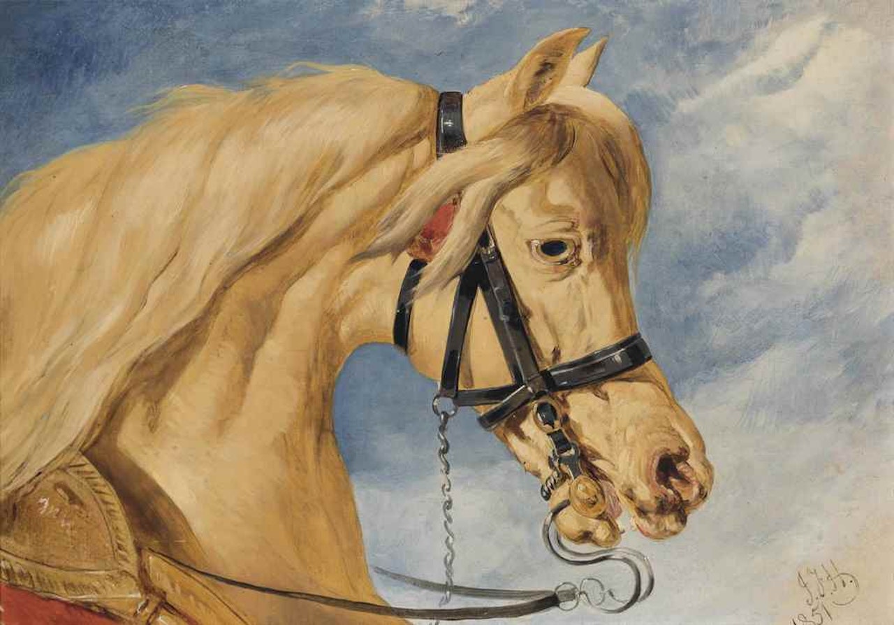 Head of an Arab stallion by John Frederick Herring