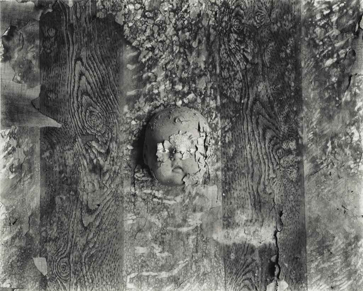 Medallion by Frederick Sommer