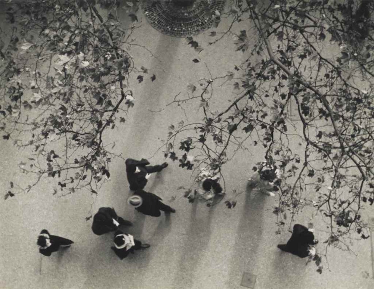 Avenue de L'Opera by André Kertész