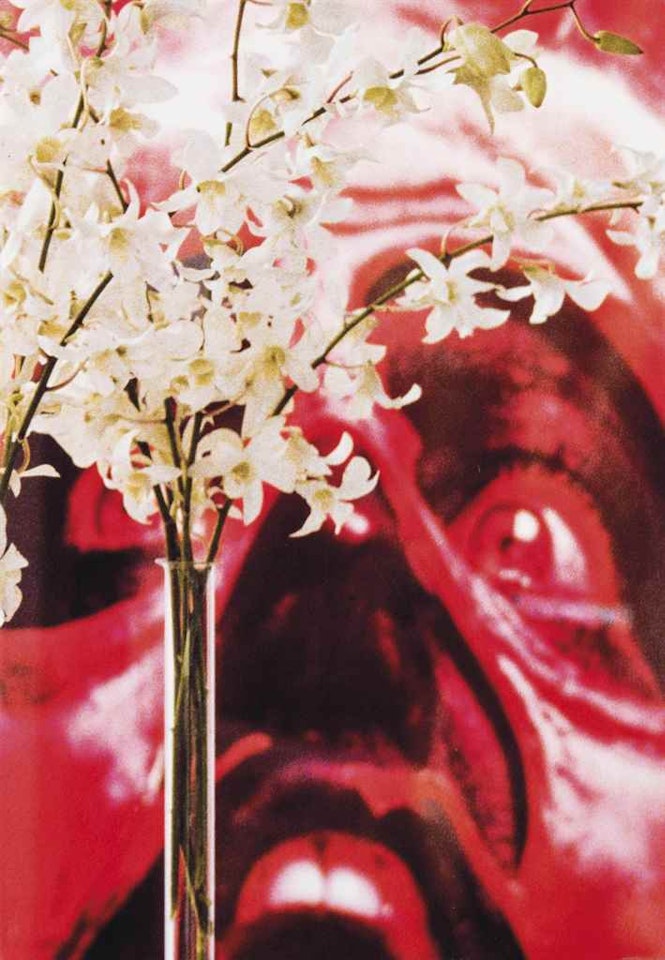 Red Face, White Flowers by Louise Lawler