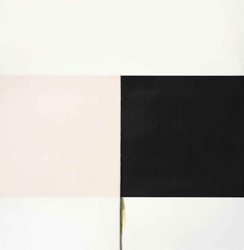 Exposed Painting Ivory Black by Callum Innes
