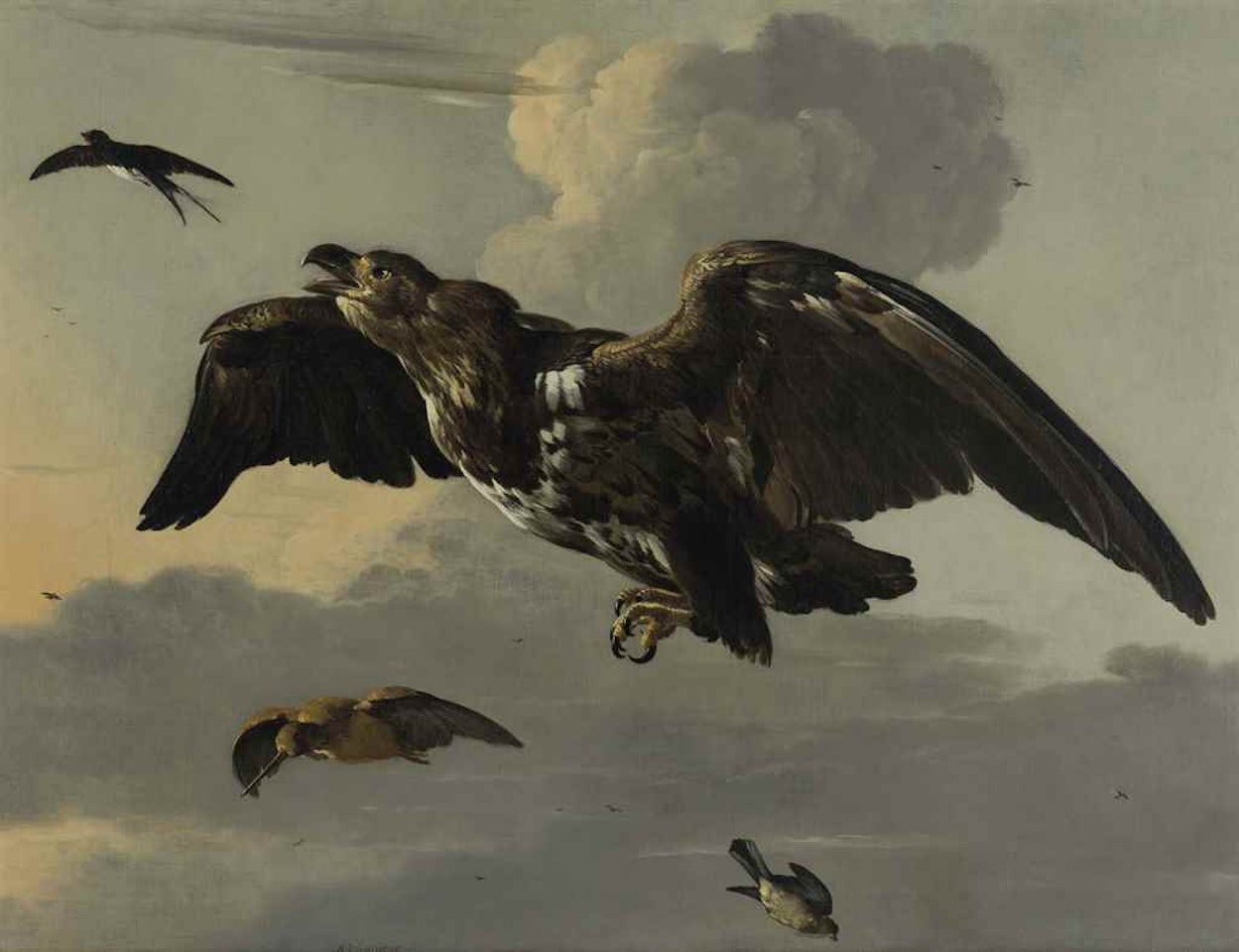 An eagle, swallow, snipe and finch in flight by Melchior de Hondecoeter
