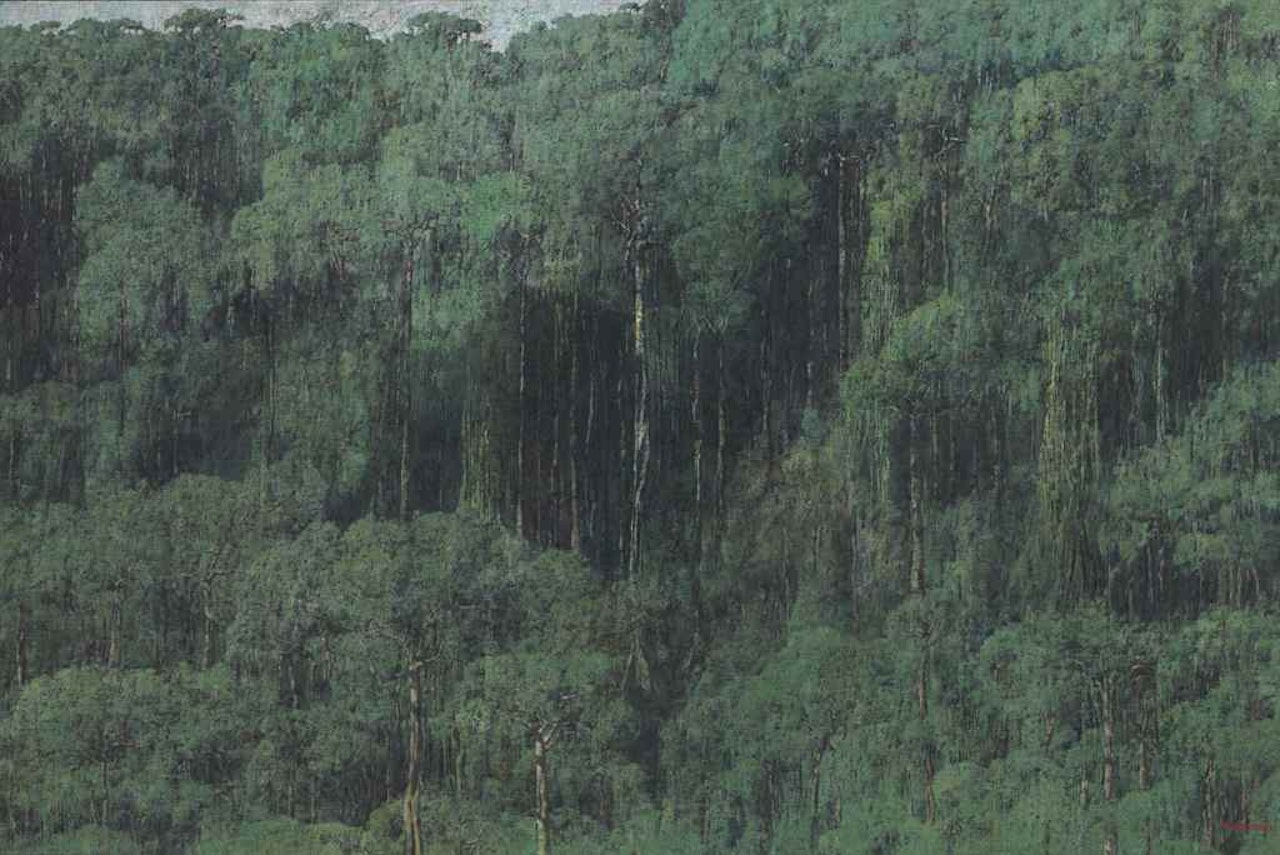 Tropical Rain Forest, Biological Reserve Indio Maíz, Nicaragua by Armando Morales