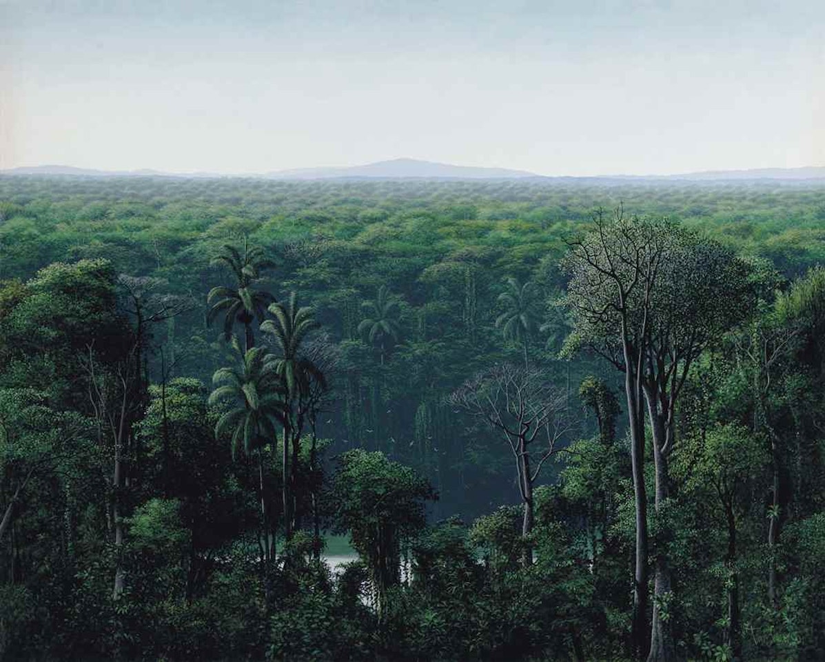 Aguas ocultas en la selva by Tomas Sanchez
