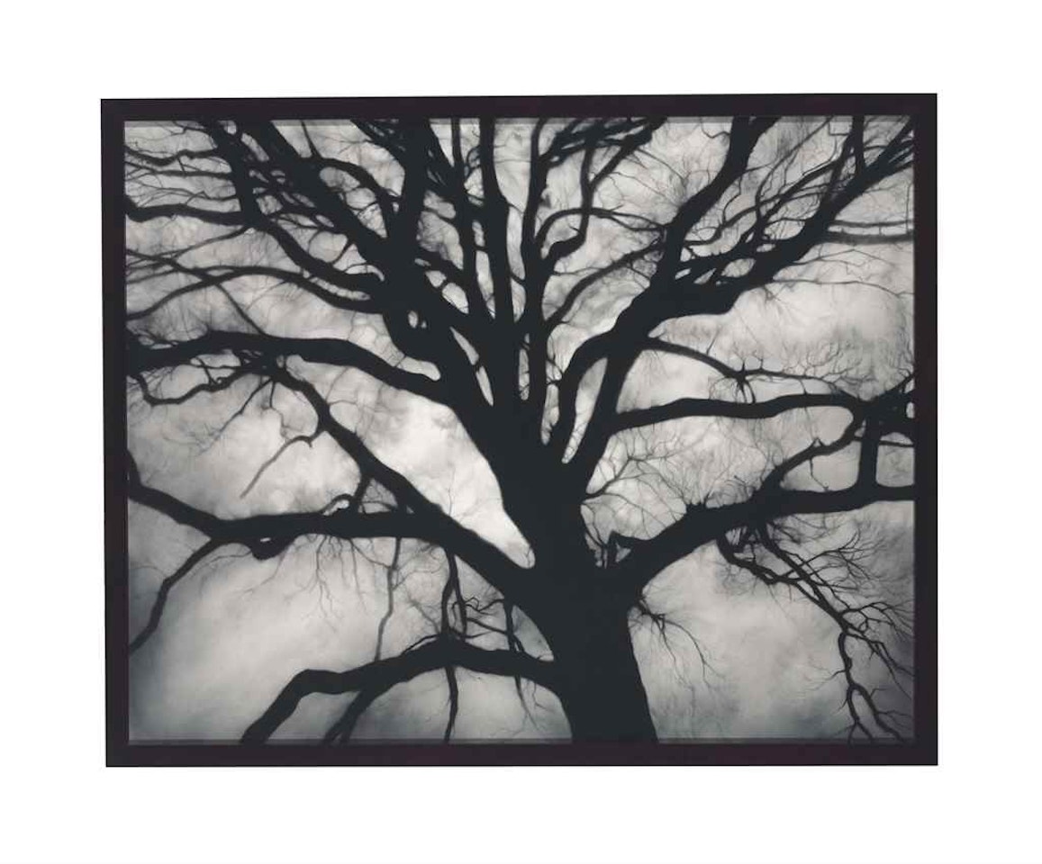 Untitled (May 23, No. 1, Brooklyn) by Robert Longo