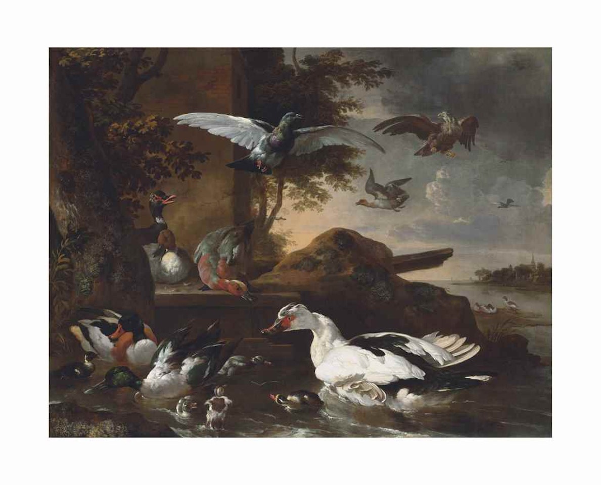 A shoveler, a Muscovy duck and other birds by a river by Melchior de Hondecoeter