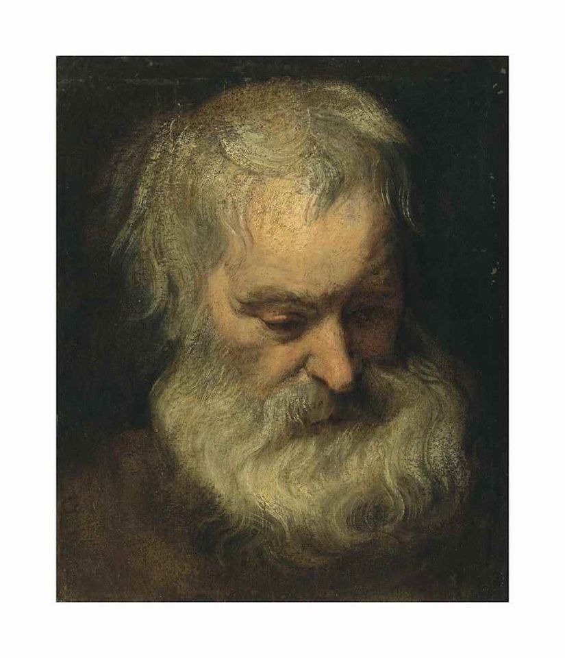Head study of a bearded man by Anthony van Dyck