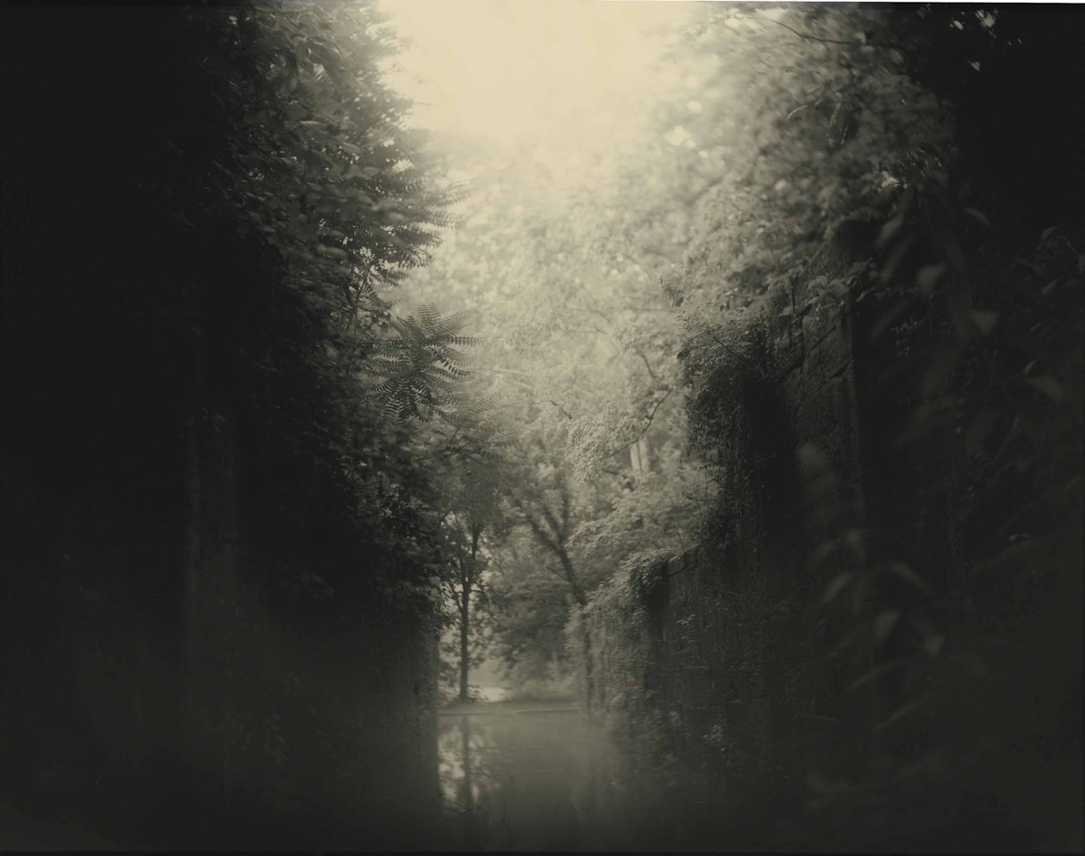 Untitled from Mother Land: Virginia by Sally Mann