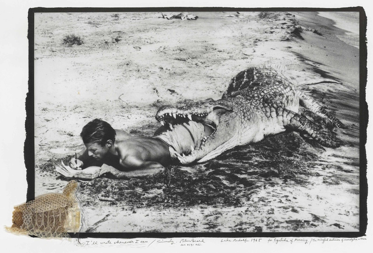 I'll Write Whenever I Can... by Peter Beard