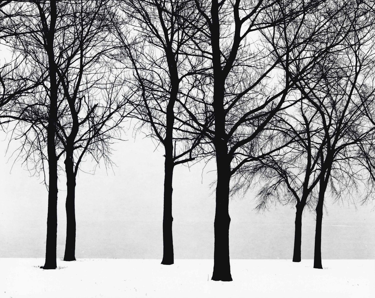 Chicago by Harry Callahan