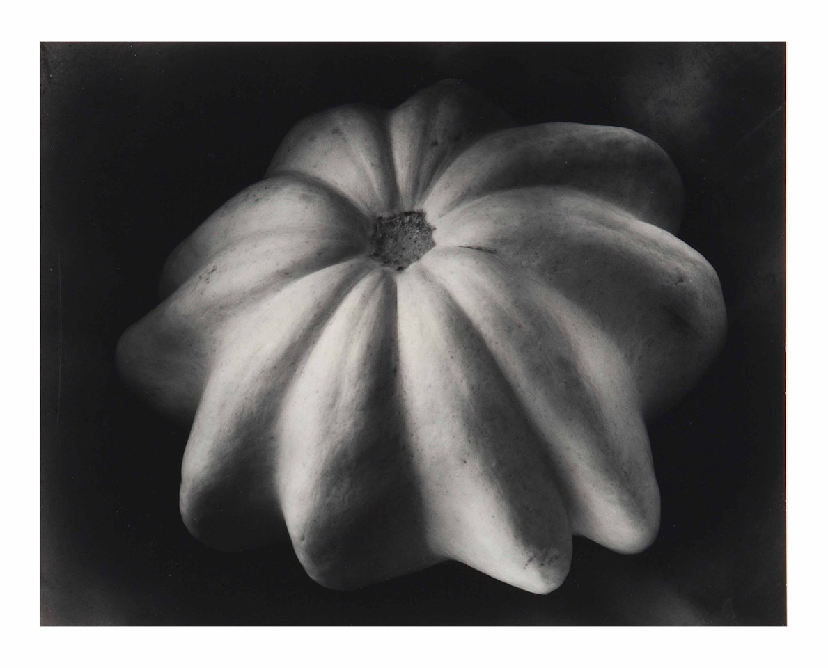 Winter Squash by Edward Weston