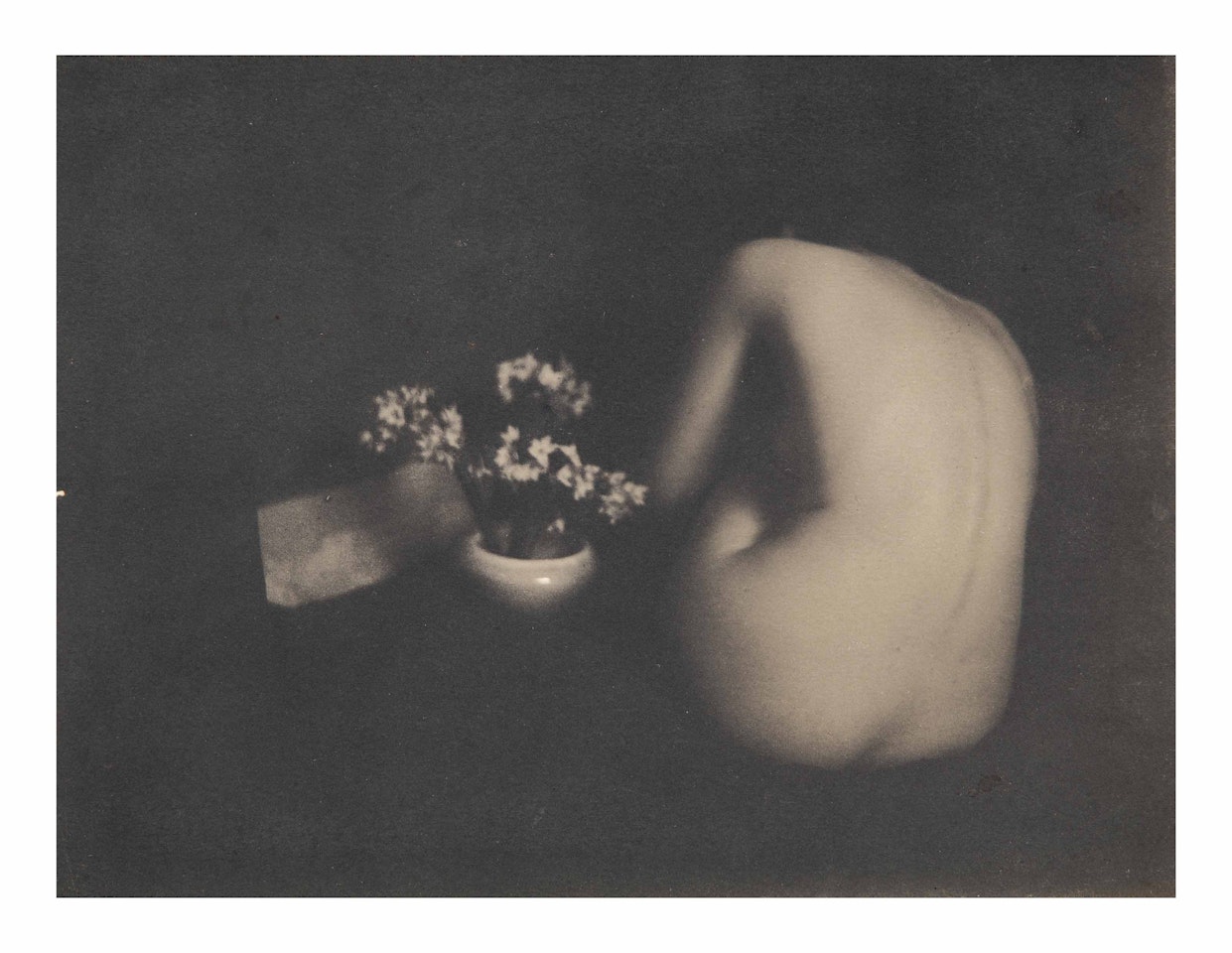 Narcissus by Edward Steichen