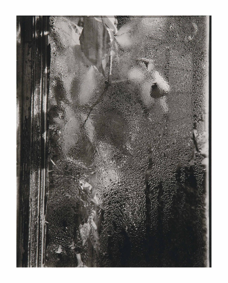 The Window of My Studio by Josef Sudek
