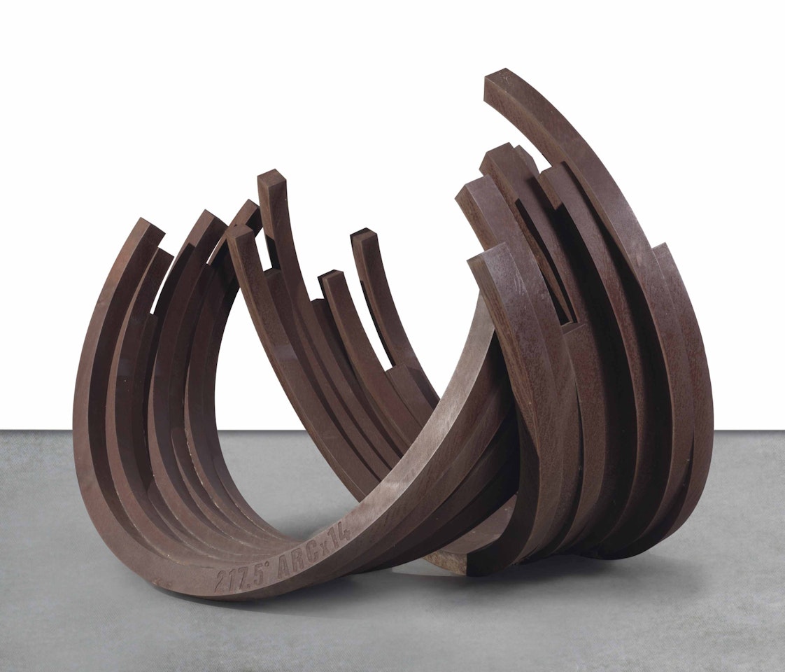 217.5° Arc x 14 by Bernar Venet