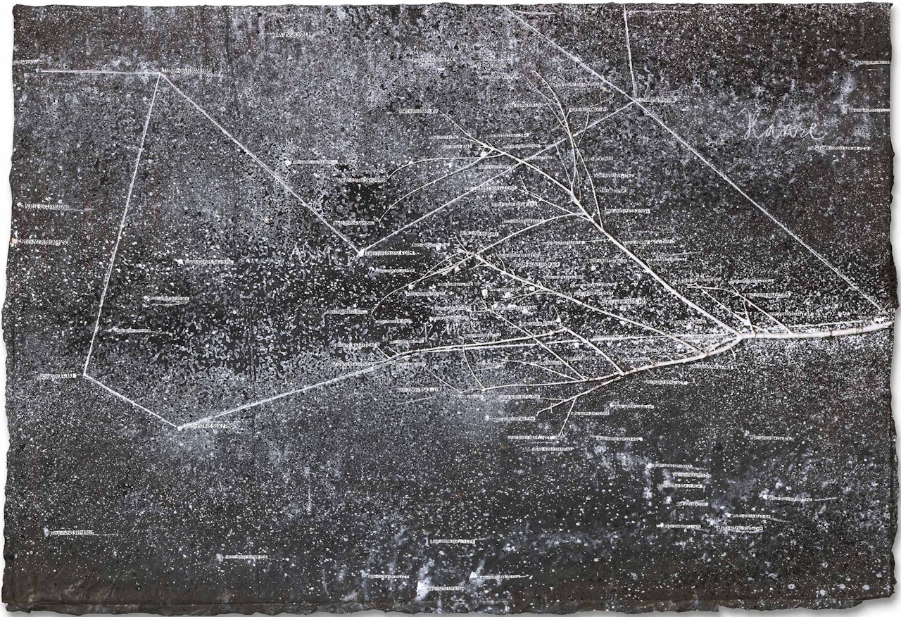 The Secret Life of Plants by Anselm Kiefer