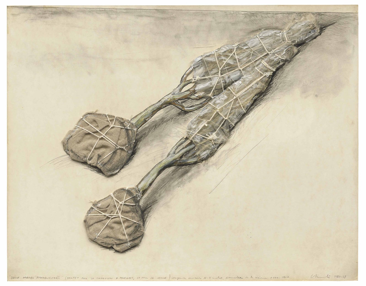 Deux Arbes Empaquetés (projet pour la fondation A. Maeght, St. Paul de Vence)(Two Wrapped Trees (project for Fondation A. Maeght, St. Paul de Vence)) by Christo
