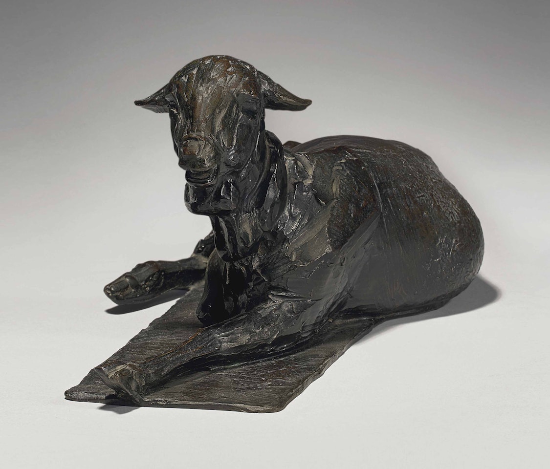 Brebis mérinos by Rembrandt Bugatti