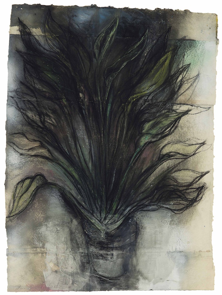 Strelitzia No. 2 by Jim Dine