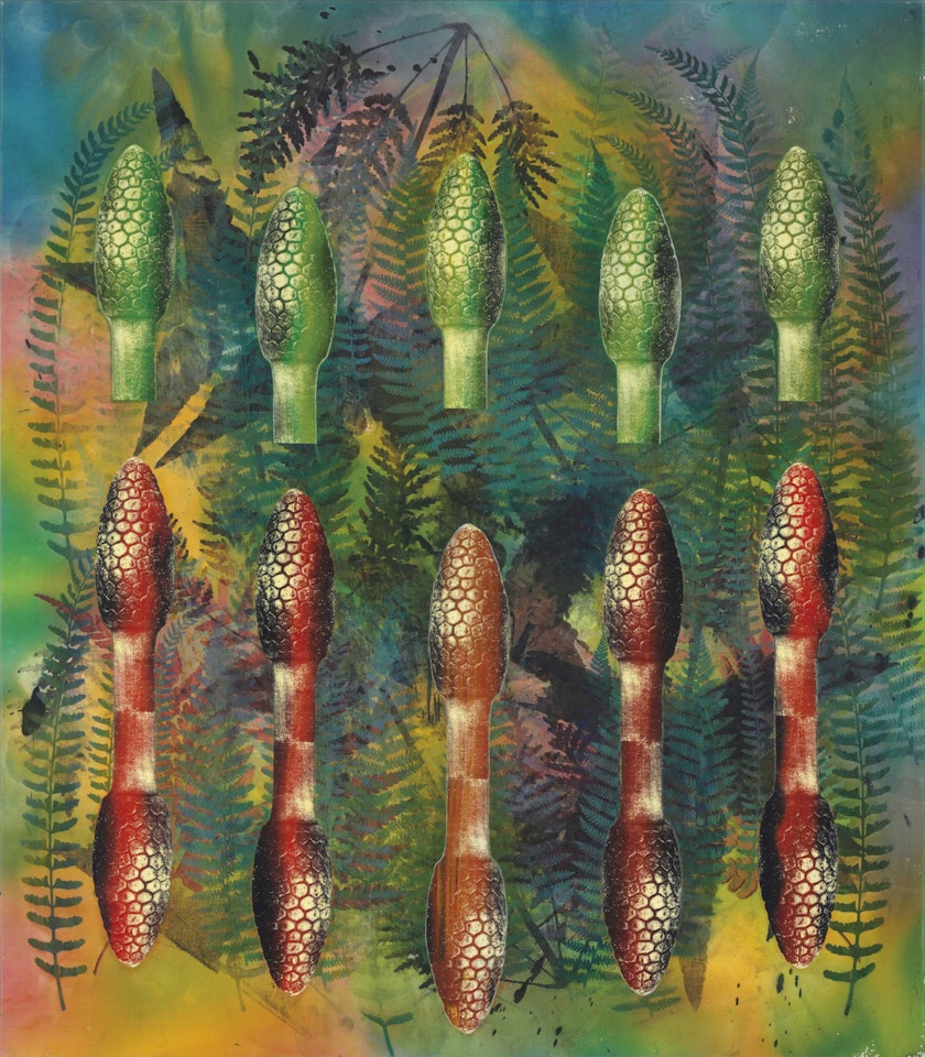 Sphenopsida by Philip Taaffe