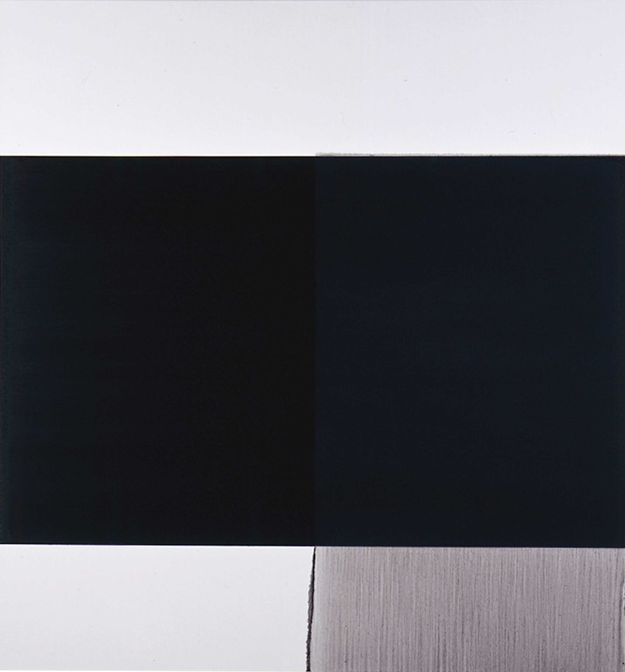 Exposed Painting Dioxazine Violet Deep by Callum Innes