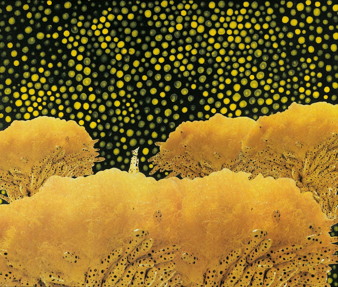 Kusama in Flower Garden by Yayoi Kusama