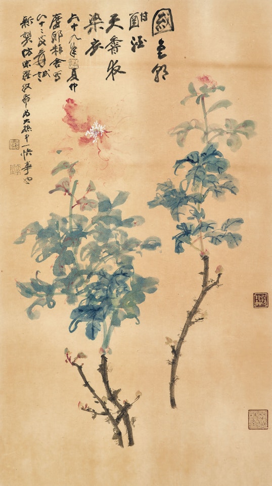 Peony by Zhang Daqian