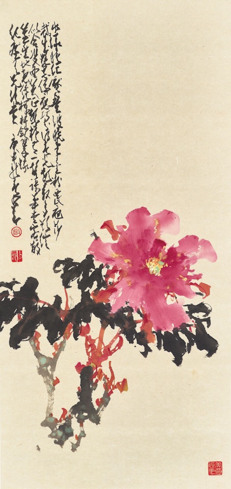 Peony by Zhao Shao'ang