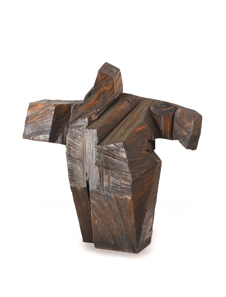 Taichi Series - Preparation for Underarm Strike by Ju Ming