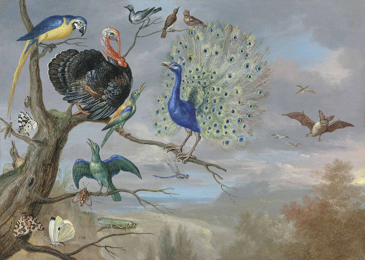Allegory of air by Jan Van Kessel The Elder
