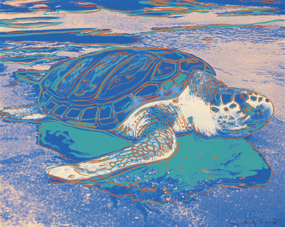 Turtle by Andy Warhol