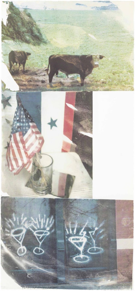 Witness, from Speculations by Robert Rauschenberg