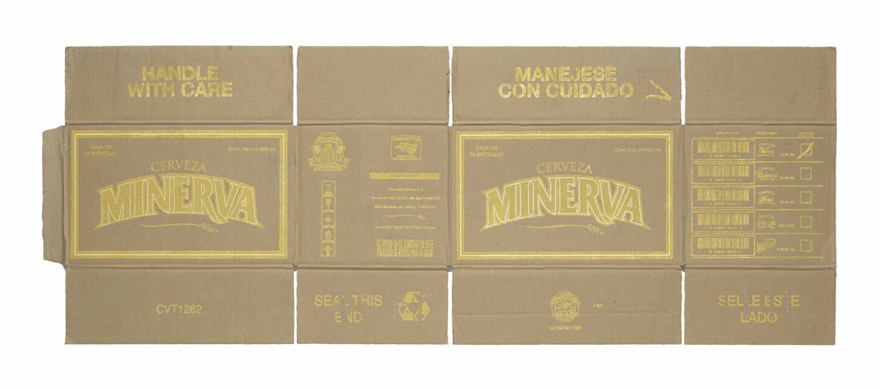 Minerva by Danh Vo