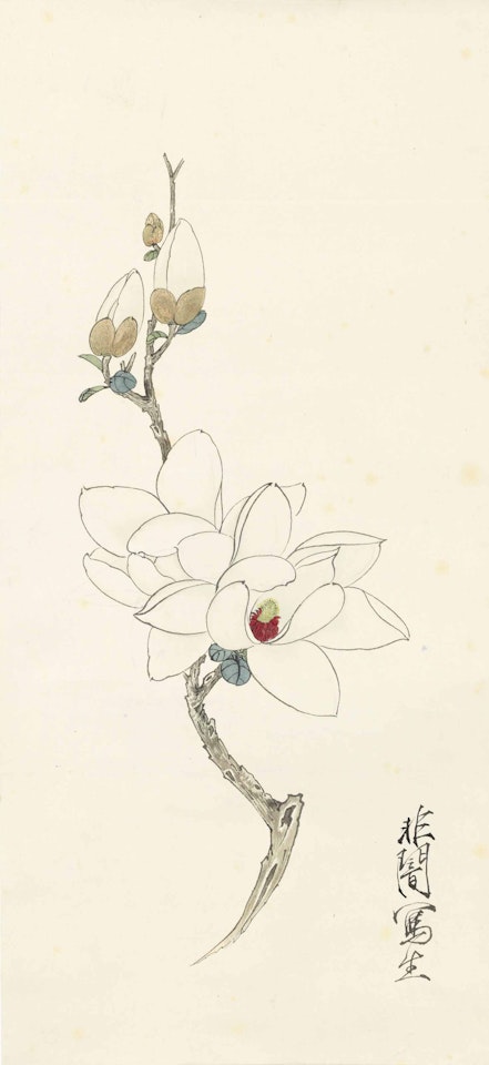 Magnolia by Yu Fei'an