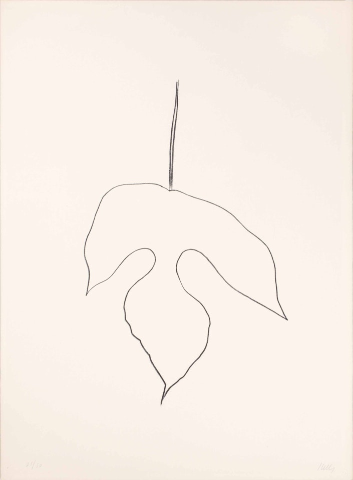 Mulberry Leaf by Ellsworth Kelly