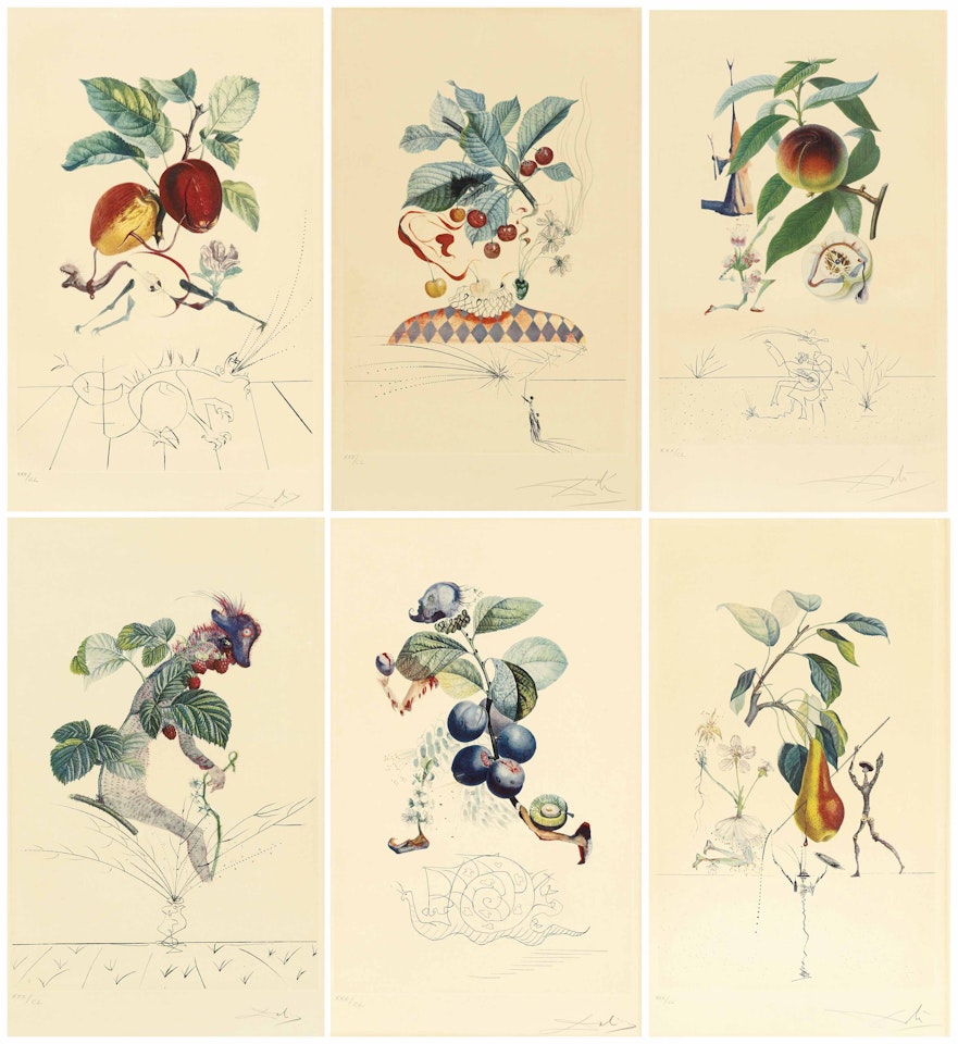 FlorDalí (Les Fruits) by Salvador Dali