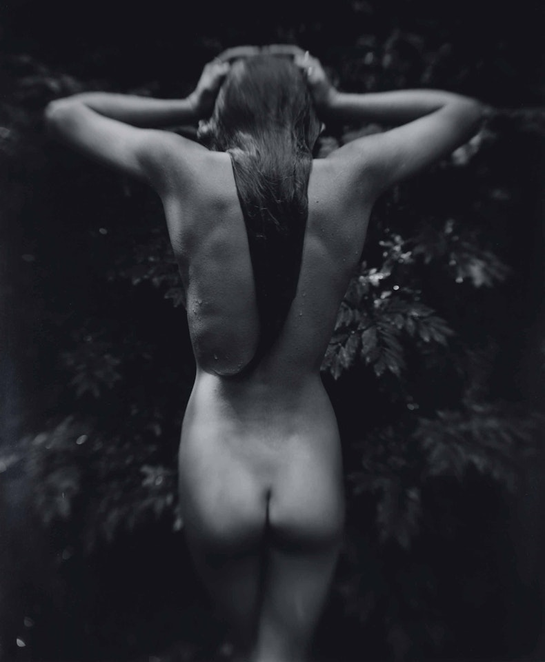 Punctus by Sally Mann