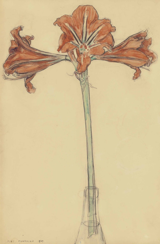 Amaryllis by Piet Mondrian