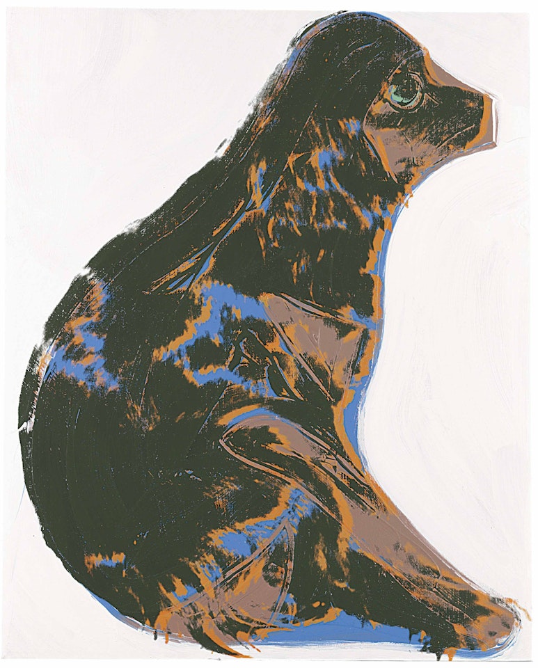 Cats and Dogs (Pom) by Andy Warhol