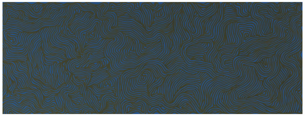 Irregular Curves by Sol LeWitt